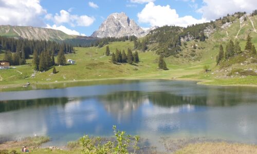 WhatsApp Image 2020-06-12 at 12.52.17