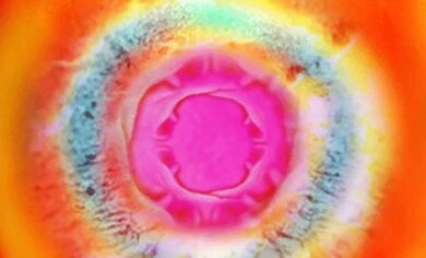 WhatsApp Image 2020-06-19 at 15.26.38